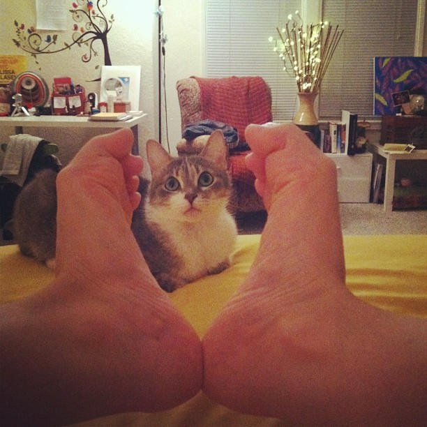 Melissa Villasenor Feet