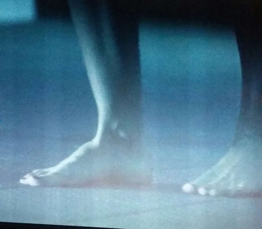 Amanda Walsh Feet