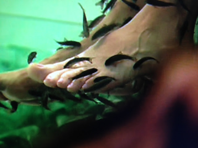 Tanja Dexters Feet