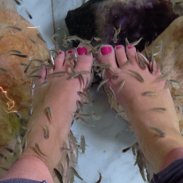 Jasmine Vangrieken Feet