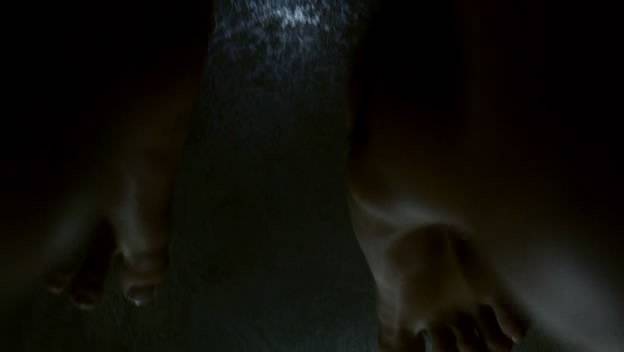 Briana Evigan Feet