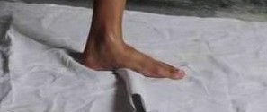 Vega Tamotia Feet