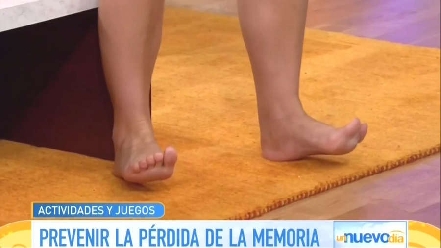 Adamari Lopez Feet