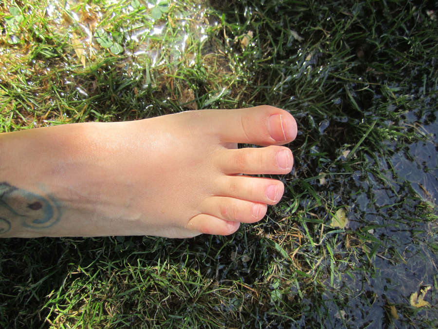 Ingrid Parra Feet