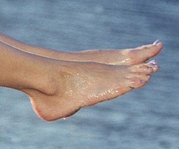 Dana Golombek Feet
