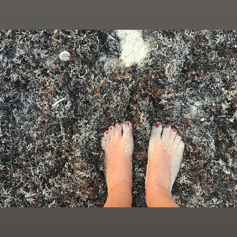 Gloria Aros Feet