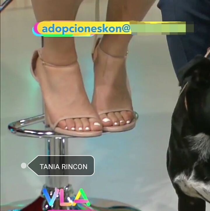Tania Rincon Feet