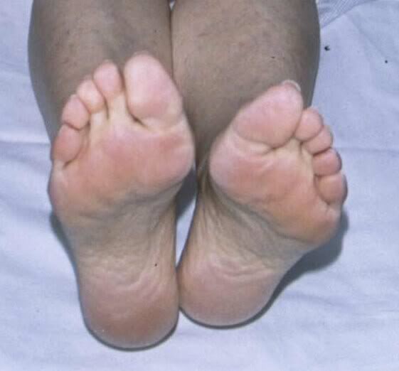Barbara Eden Feet
