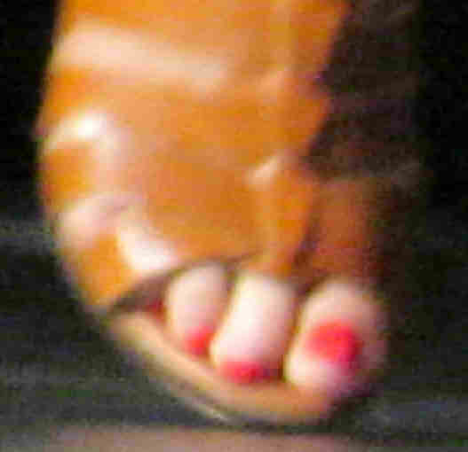 Andrea Libman Feet