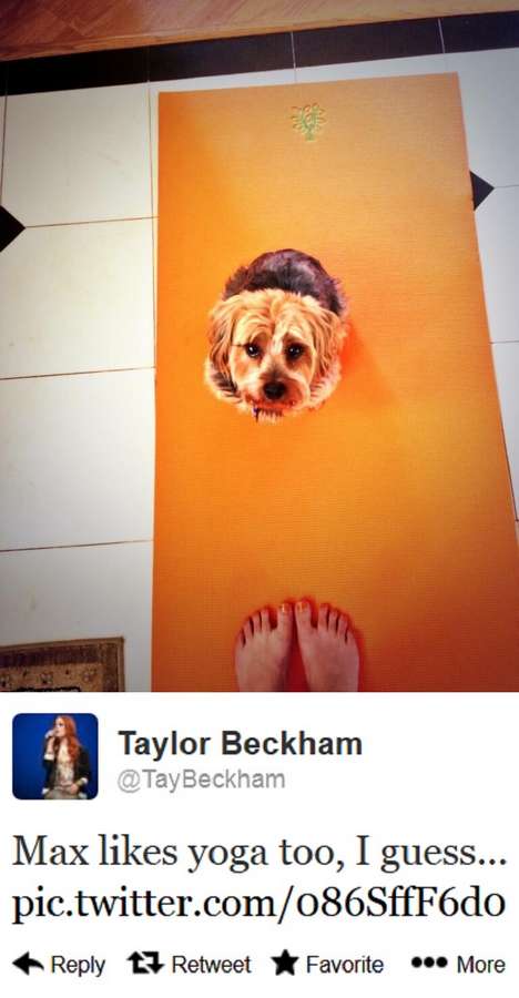 Taylor Beckham Feet