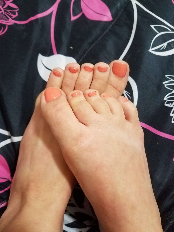 Anastasia Rose Feet