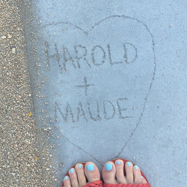 Meredith Hagner Feet