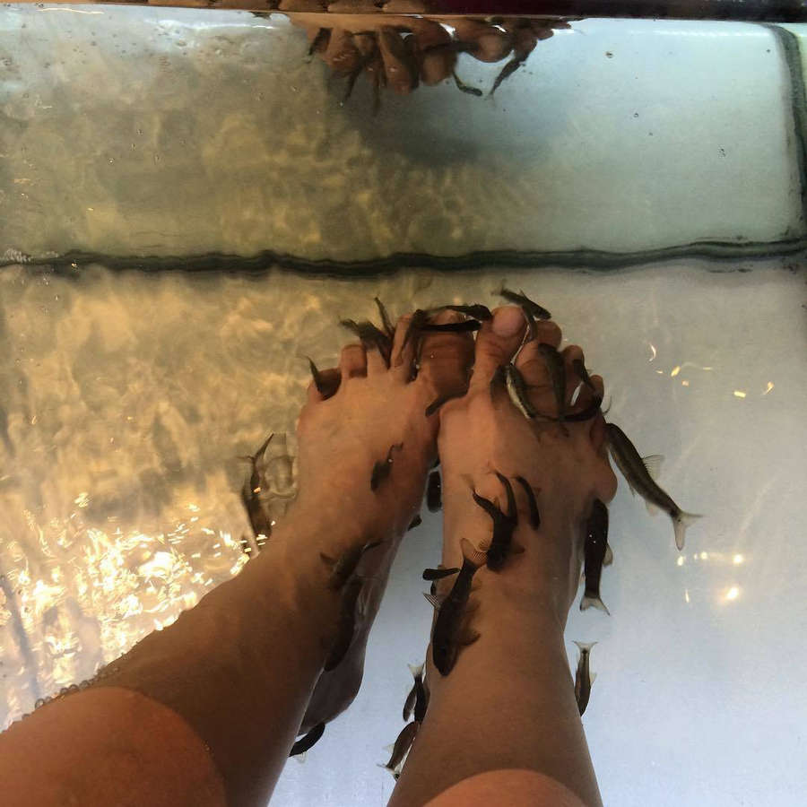Lika Minamoto Feet