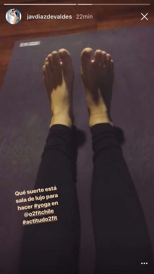 Javiera Diaz De Valdes Feet