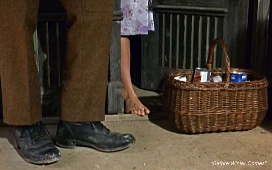 Anna Karina Feet