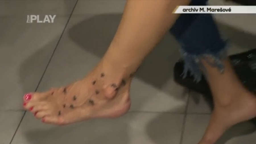 Monika Maresova Feet